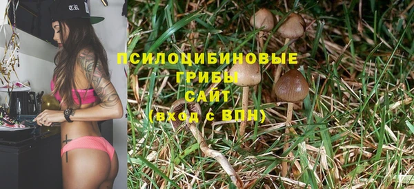 прущая мука Пролетарск